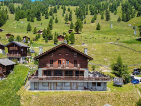 Cosy apartment by the slopes Nendaz